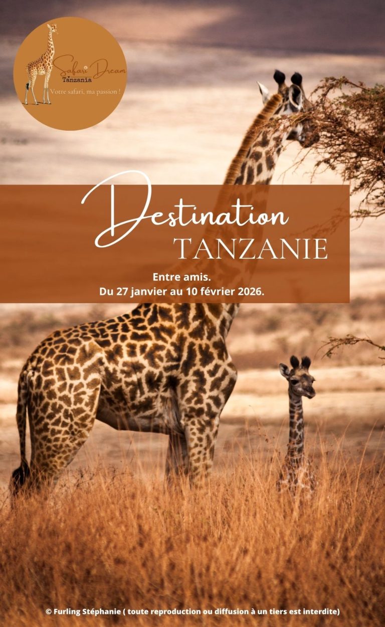 Girafe majestueuse dans un paysage de savane, avec "Destination Tanzanie" en surimpression.
